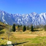 Un tratto del Sentiero dei Grandi Alberi, sulle Piccole Dolomiti venete