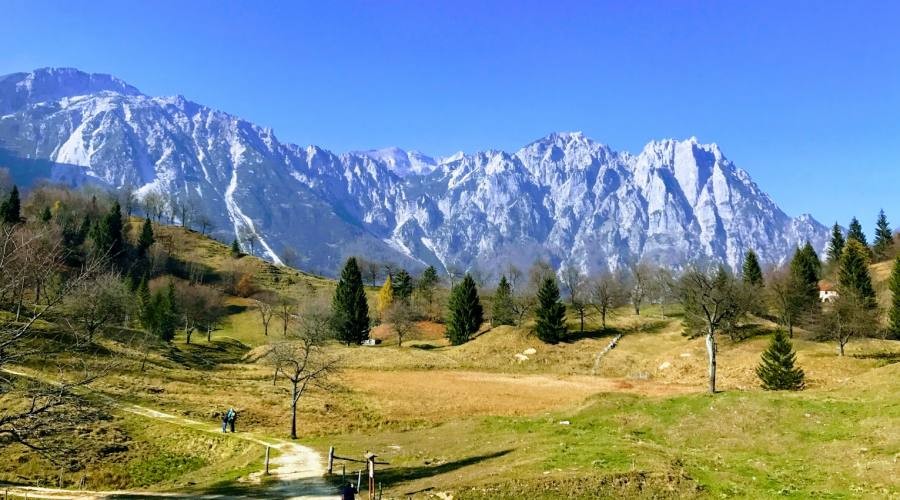 Un tratto del Sentiero dei Grandi Alberi, sulle Piccole Dolomiti venete